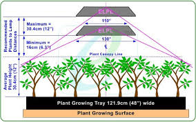 I show a grow light distance chart and show you that led lights can burn plants just like any other type of light. Led Grow Light Distance Chart Guide 101growlights