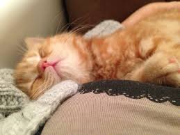 Sleeping