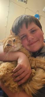 Lost cat Mufasa in Tekoa Washington area