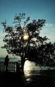 Pulau burong pulau burung attraction. Shoot Pulau Burung S A Gem