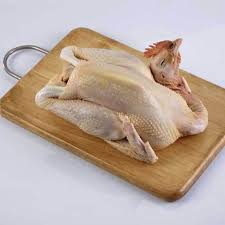 We did not find results for: Perbedaan Ayam Kampung Ayam Negeri Dan Ayam Pejantan Yang Perlu Moms Tahu Orami