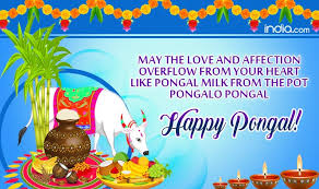 May the harvest festival ensure you always have the best food and best life.' Happy Pongal 2020 Here Are Best Pongal Whatsapp Messages Greetings And Sms To Celebrate The Tamil Harvest Festival