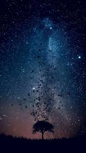 Pin By Odessa On Landscape Night Sky Wallpaper Galaxy Wallpaper Nature Wallpaper