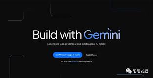 Google AI 大模型Gemini_谷歌Gemini官网