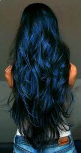 Black And Blue Hairstyles For Long Hair Pin On Hair