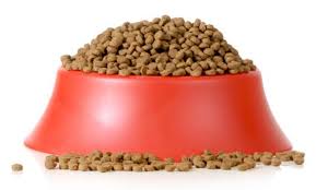 Dave's pet food cat food recall history. Pet Food Recalls And Warnings Page 2