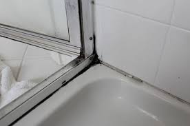 How To Clean Black Shower Mold Permanently This Pin Shows How To Redo The Caulking Shower Mold Mold In Bathroom Remove Mold From Shower
