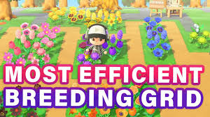 Flowers and trees are both vital resources to have on your island in animal crossing new horizons. The Most Efficient Flower Breeding Grid Diamond Grid Animal Crossing New Horizons Youtube