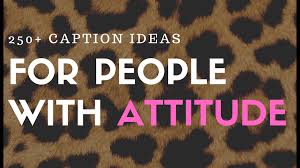 We did not find results for: 250 Attitude Quotes And Caption Ideas Turbofuture