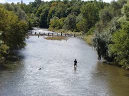 I Swam In The Credit River At Erindale Park Mississauga As A Child Ontario Canada Mississauga Great Places