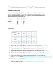 Monohybrid and dihybrid cross worksheet with answers. Dihybrid Worksheet Name Class Date Elena Montgomery 7 8 Dihybrid Cross Worksheet In Peas Round Seed Shape R Is Dominant To Wrinkled Seed Shape R And Course Hero