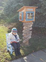 Pin By Fianeso On Love It All Funny Pins Basically The Best Pins On Pinterest Free Library Little Free Libraries Little Free Library Plans