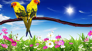 Nature Hd Wallpapers For Laptop 1366x768 Free Download Images 12 Laptop Wallpaper Parrot Wallpaper Digital Wallpaper