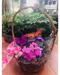 Fletcher, 52, of auburn died june 7 unexpectedly at home. Violet Basket In East Syracuse Ny Whistlestop Florist Inc