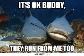 Sharks Funny Shark Pictures Sharks Funny Shark Meme