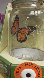 Pin En Proyecto Las Orugas Y Las Mariposas