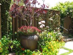 For more, see garden visit: Pin On Tiny Landscape Spaces