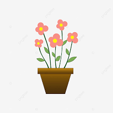 Maybe you would like to learn more about one of these? Gambar Bunga Dalam Pot Bunga Pot Bunga Merah Muda Png Transparan Clipart Dan File Psd Untuk Unduh Gratis