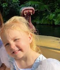 Which Disney World attractions are safe for pregnant women?