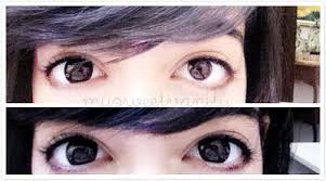 Dolly Eye Circle Black Color Contact Lenses Comes With A Diameter Of 14 2 Mm Still They Provide A Cute And Contact Lenses Colored Colored Contacts Eye Circles