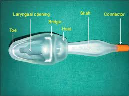 Image result for Extraglottic Device