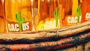 Como su nombre indica, describe 500 especies de cactus, pero se enfoca en aquellas más accesibles a los. Cerveza Cactus Quien Sabe Como Se Dice Junta Sed En Ingles Facebook