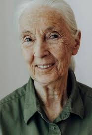 Jane goodall spends time with her family in tanzania and returns to her wild eden. Jane Goodall Wikipedia