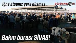 sivas sarkisla canli hayvan pazari sivas a umut olmaya devam ediyorbuyuk sivas haber sivas haberleri haberler guncel yerel haberler
