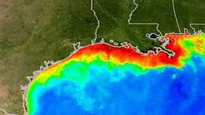 Die östliche, nördliche und nordwestliche küste liegt in den vereinigten staaten (in den staaten florida, alabama, mississippi, louisiana und texas), die südwestliche und südliche küste liegt in. Kaum Hoffnung Darum Verschwindet Die Todeszone Im Golf Von Mexiko Nicht The Weather Channel Artikel Von The Weather Channel Weather Com