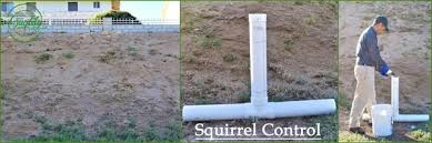 We specialize in wildlife only, and are not like a regular rancho cucamonga pest control company or rancho cucamonga exterminator. Quality Commercial Pest Control 10700 Jersey Blvd Rancho Cucamonga Ca Pest Control Mapquest