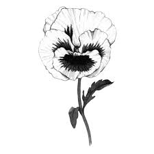 Bryan schiavone is a pen and ink art artist. Black Ink Flower Paintings Botanical Illustration Studio By Anna Farba