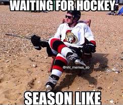 Beach Hockey Hockey Ice Hockey Funny Hockey Memes