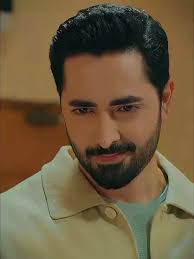 Danish Taimoor Funny Videos