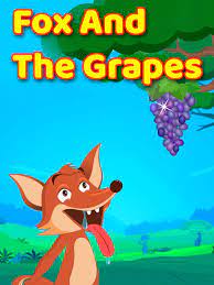 At last, he saw a bunch of grapes hanging from a fox one day spied a beautiful bunch of ripe grapes hanging from a vine twined along the branches of a tree. Watch Fox And The Grapes Prime Video