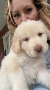 Herron Family Farm & Garden