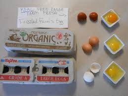 An autotroph is an organism that can make its own food for energy. Free Range Vs Ordinary Eggs Cliff Seruntine
