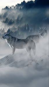 A desktop wallpaper is highly customizable, and you can give yours a personal touch by adding your images (including your photos from a camera) or download beautiful pictures from the internet. Wolf Iphone 8 7 6s 6 For Parallax Wallpapers Hd Desktop Backgrounds 938x1668 Images And Pictures