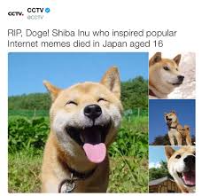 Doge (often /ˈdoʊdʒ/ dohj, /ˈdoʊɡ/ dohg) is an internet meme that became popular in 2013. Doge Know Your Meme