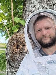 Bee removal in difficult locations in Los Angeles