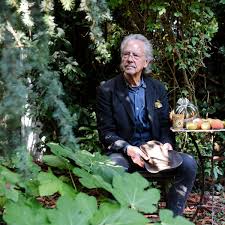 The goalkeeper's fear of the penalty: Peter Handke Stellvertreterdebatte Oder Verdrangte Europaische Geschichte Literatur