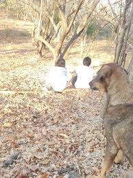 Profile for Jose Donis