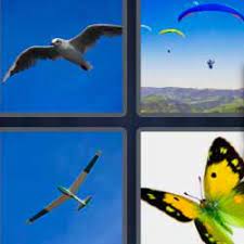 4 Fotos 1 Palabra 5 Letras Mariposa Novocom Top