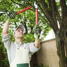 Check spelling or type a new query. Home Iowa City Ia Noel S Tree Crane Service Inc