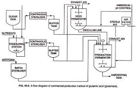 Glutamic Acid History Production And Uses With Diagram