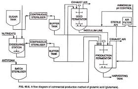 glutamic acid history production and uses with diagram