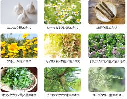 紫根ヘアカラートリートメント
