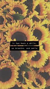 People who disobeyed god in the bible. Sunflower Quotes Wallpapers Top Free Sunflower Quotes Backgrounds Wallpaperaccess
