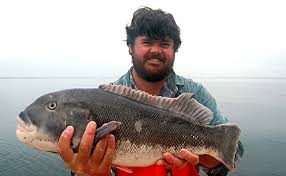 Fishing Structure For Spring Tautog And Seabass On The Water