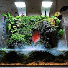 Such A Cool Paludarium I Want One Too Who Can Hook Me Up Scaper Premiumbuces All Planted Aquarium Nature Aquarium Nano Aquarium