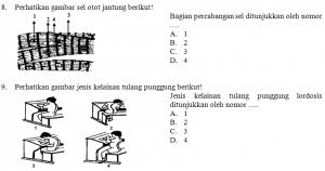 Soal Uas Pas Ipa Kelas Viii Smp Mts K 13 Revisi Pendidikangratis Id